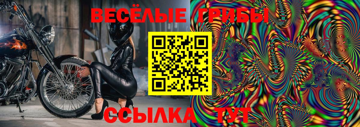 Псилоцибиновые грибы Magic Shrooms  закладка  Павлово  Вход с VPN 